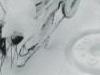 雪景色ならぬ……