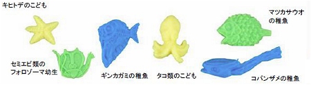↑ いわゆる「チリモン」たち