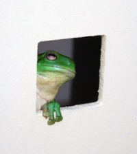 のぞき見