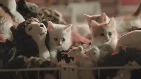 ↑ Happy Inside - IKEA cats advert。