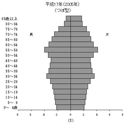 ↑ 国勢調査直近データ2005年における日本の人口ピラミッド(資料から抜粋)