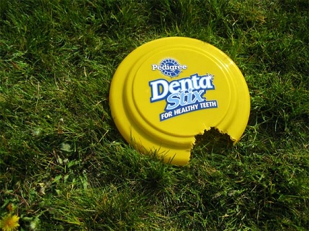 ↑ 愛犬用のフリスビー。そこにはかじられた跡と、「Dentastix」のロゴが