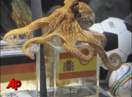 ↑ 「Psychic」 Octopus Dies in Germany。