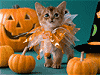 ハロウィン