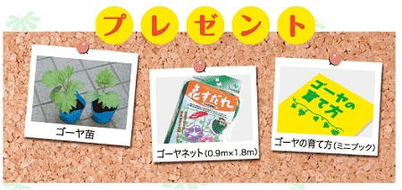 ↑ 当選者に無料提供されるセット
