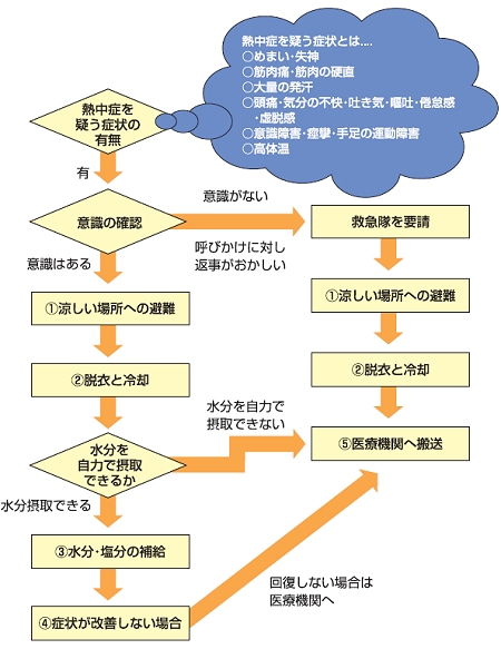 ↑ 処置チャート