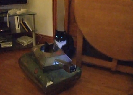 ↑ 戦車内に潜む猫と、それに挑む歩兵猫。結末は意外にも……