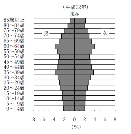 ↑ 国勢調査直近データ2010年における日本の人口ピラミッド(資料から抜粋)