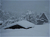 豪雪