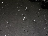 都心でも雪