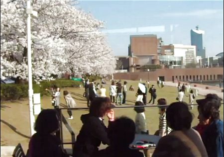 ↑ 公園内店舗の一つ、富山環水公園店で花見を楽しむ人達のようすを描いた投稿映像。