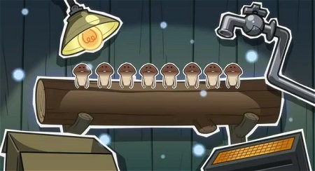 ↑ 「なめこ栽培キット」のプロモーション映像(公式)。
