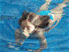 子供の水泳