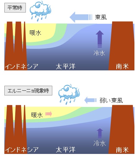 ↑ 平常時とエルニーニョ現象時