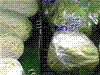 野菜