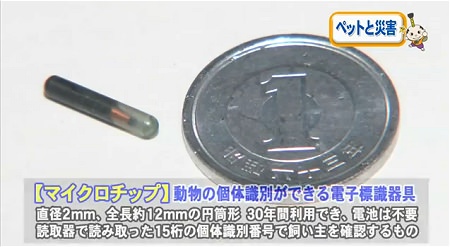 ↑ マイクロチップなどを解説する「知っ得!なごや」の公式動画。