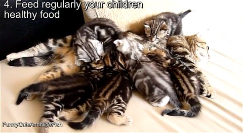 ↑ 10 tips to raise happy children by Mom-cat Coco。