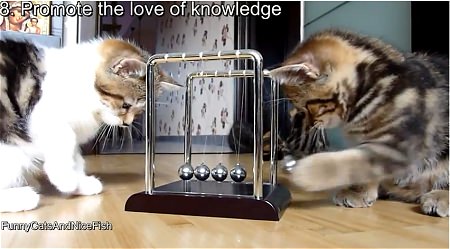 ↑ 8. Promote the love of knowledge