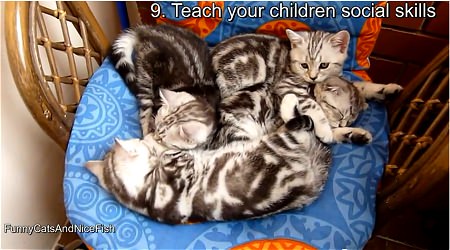 ↑ 9. Teach your children social skills