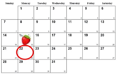↑ カレンダー上では15日(いちごの日)の下に22日がある