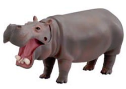 カバのアニア