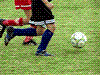 子供の運動