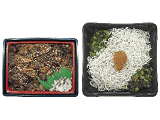 「茨城県産豚肉の焼肉重」「茨城県久慈浜港水揚げしらすご飯」