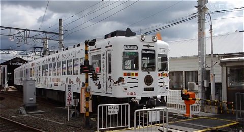 ↑ 「たま電車」のリニューアルを伝える報道映像。