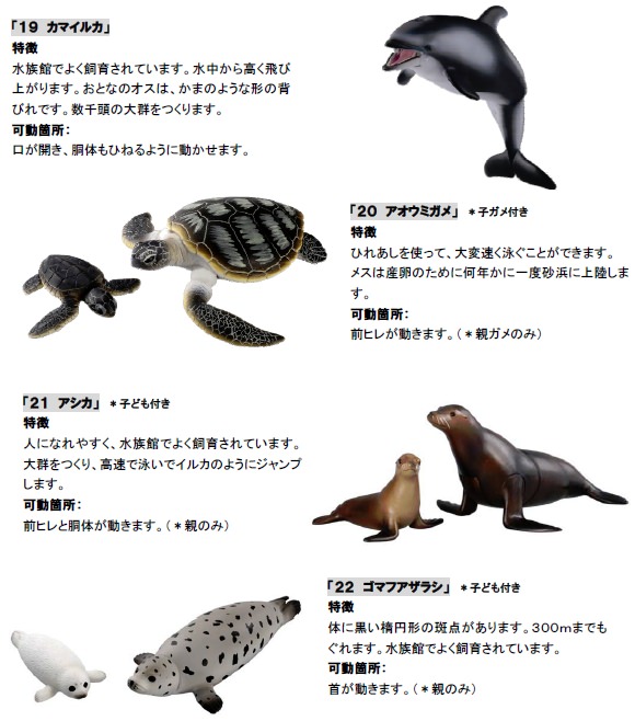 ↑ 水生生物をテーマにしたアニア新商品4種