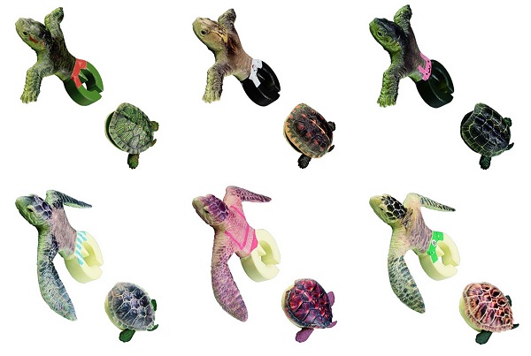 ↑ 亀は全部で6種類。上段左から「ミドリガメ」「セマルハコガメ」「ゼニガメ」、下段左から「アオウミガメ」「タイマイ」「アカウミガメ」