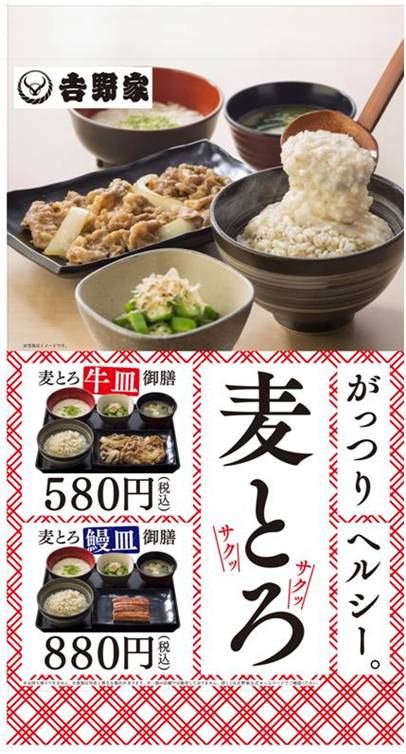 ↑ 麦とろ牛皿御膳など