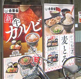 新 牛カルビ丼と麦とろ定食
