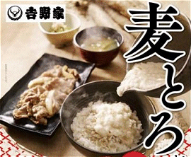 麦とろ御膳