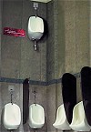 スパイダーマン用トイレイメージ
