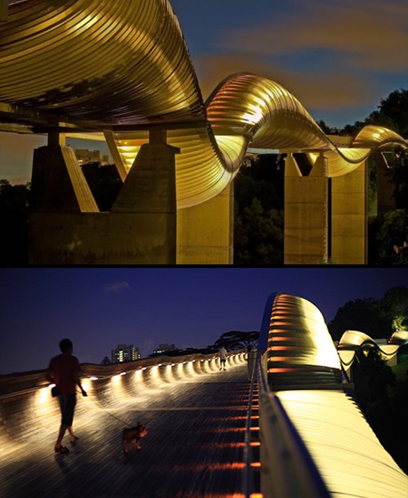 Henderson Waves Bridge。