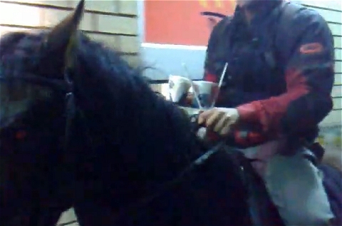 Horsing around at Mc Donalds / McDonalds。