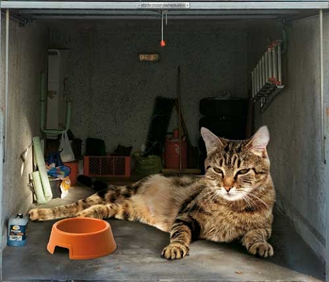 ↑ 一番上のように「なかなか似合ってるね」という馬小屋のもあるが、動物系は大抵スケールがミスマッチ。まるで化け物小屋(笑)。防犯には役立つかもしれないが……