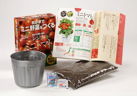 ↑ 我が家でミニ野菜をつくる1 ミニトマト