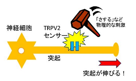 ↑ イメージ図