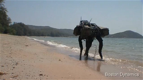 ↑ BigDog Beach'n。