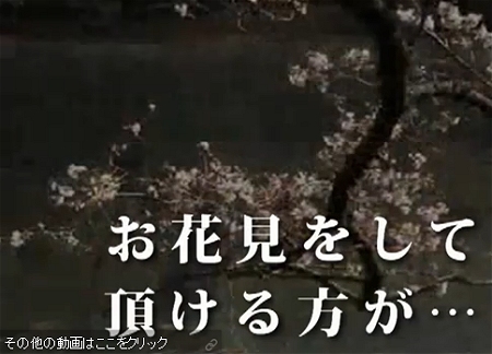 ↑ 花見自粛の動きに対し、被災地のお酒の蔵元からの声「むしろ積極的に花見を行い、岩手のお酒を買う事で支援をしてほしい」が動画として掲載され、大きな反響を呼んでいる。