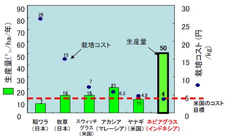 ↑ ネピアグラスと、比較対象となる他の植物との比較