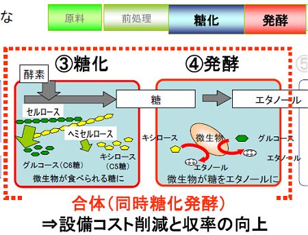 ↑ 糖化と発酵の両プロセスを一度にこなすのが、今回開発された新酵母菌(トヨタ開発酵母)