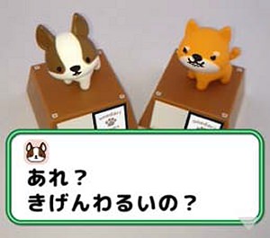↑ 2匹以上を同時にアプリで映すと、会話をする様子も
