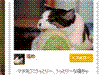 キャットゴー