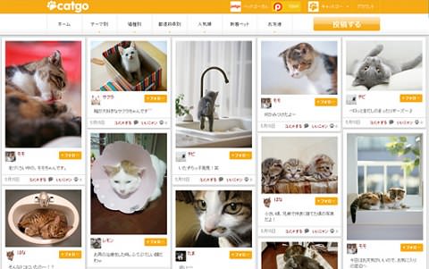 ↑ キャットゴー