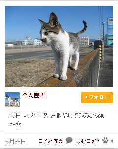 写真投稿事例。「コメント」「いいニャン」なども確認できる