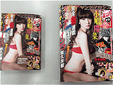 ヤングマガジン 単行本サイズ